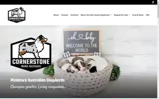 Cornerstoneminiaussies.com Screenshot 2024-07-06 20:08:09