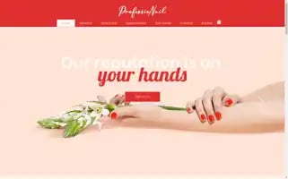 Professionail.com.au Screenshot 2024-05-13 12:38:24