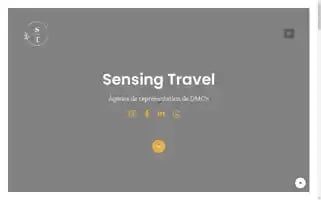 Sensingtravel.com Screenshot 2024-04-25 21:47:46