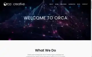 Orca.agency Screenshot 2024-07-04 17:26:55