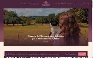 Echoames.com Screenshot 2024-05-27 16:57:26