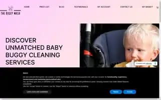 Thebuggywash.co.uk Screenshot 2024-05-27 18:12:20