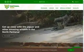 Pantanaltours.com Screenshot 2024-04-14 14:08:19