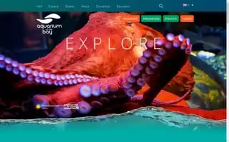 Aquariumofthebay.org Screenshot 2024-05-08 13:52:54