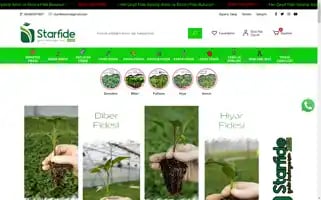 Starfide.com Screenshot 2024-05-21 12:48:46