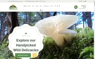 Fiddleheadheaven.com Screenshot 2024-05-05 07:00:43