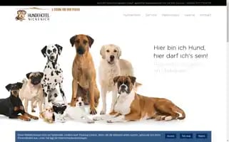 Hundehotel-nickenich.de Screenshot 2024-04-22 22:23:24