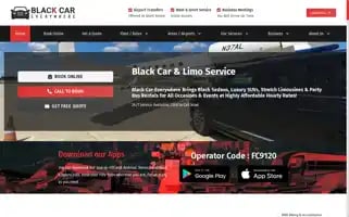 Blackcareverywhere.com Screenshot 2024-06-12 12:57:19