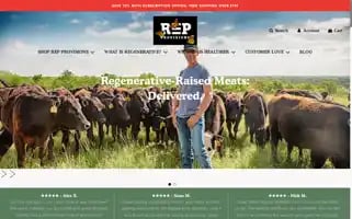 Repprovisions.com Screenshot 2024-05-04 12:04:27
