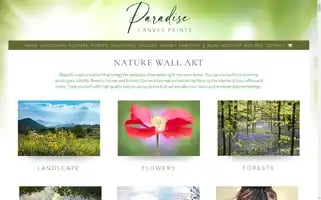 Paradisecanvasprints.com Screenshot 2024-05-13 07:46:49
