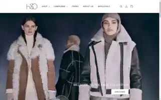 Hiso.ca Screenshot 2024-05-04 23:27:43