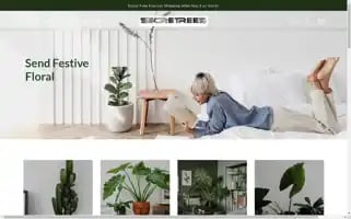 Secretrees.com Screenshot 2024-05-13 20:52:48