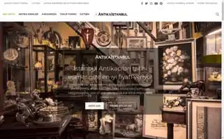 Antikaistanbul.net Screenshot 2024-05-29 10:57:02