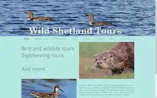 Wildshetlandtours.co.uk Screenshot 2024-04-16 13:52:28