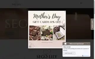 Segolilyspa.com Screenshot 2024-05-13 20:57:33