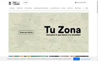 Todoestaenmadrid.com Screenshot 2024-07-01 08:31:08