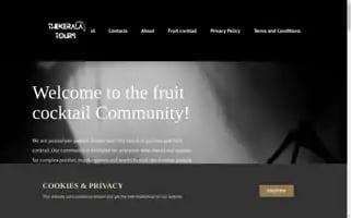 Thekeralatours.com Screenshot 2024-04-19 12:16:28