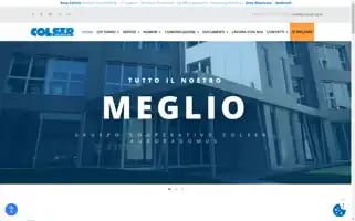 Colser.com Screenshot 2024-06-29 17:47:50