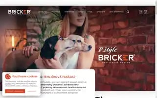 Bricker.sk Screenshot 2024-06-15 17:40:47