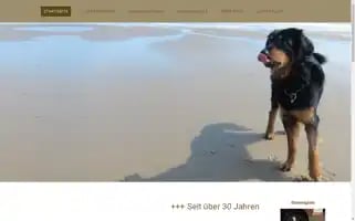 Hundehotel-neu-ulm.de Screenshot 2024-04-26 06:48:01