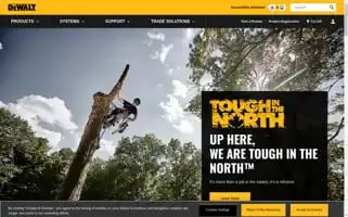Dewalt.ca Screenshot 2024-05-09 09:39:06