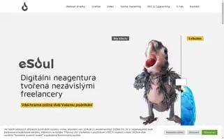 Esoul.cz Screenshot 2024-06-27 01:38:43