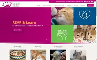 Safehavenforcats.org Screenshot 2024-07-06 11:53:41