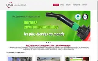 Dsdinternational.net Screenshot 2024-06-18 04:43:47