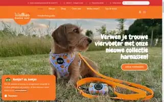 Walkies.shop Screenshot 2024-05-24 10:54:45