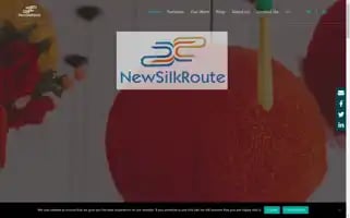 Newsilkroute.co.uk Screenshot 2024-07-01 00:13:23