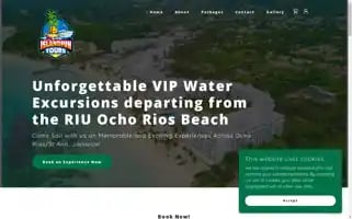 Islandfunwatertours.com Screenshot 2024-04-27 03:23:51