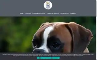 Boxerdeltricolle.it Screenshot 2024-07-09 10:52:45
