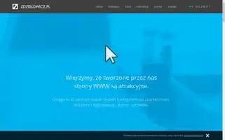 Zdzislowicz.pl Screenshot 2024-07-06 10:38:52