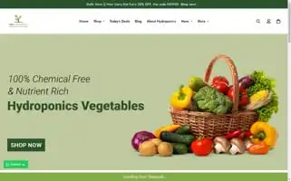 Onlyhydroponics.in Screenshot 2024-06-28 14:39:12