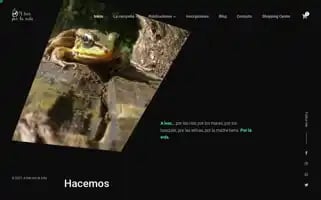 Aleerporlavida.com Screenshot 2024-05-17 03:37:23