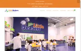 Littlebeakers.com Screenshot 2024-05-12 18:29:08
