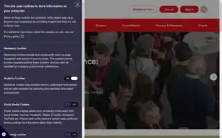 Icon.org.uk Screenshot 2024-07-02 00:05:09