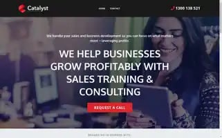 Catalyststrategic.com.au Screenshot 2024-06-29 02:35:39