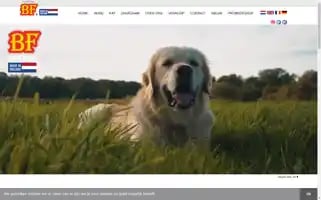 Bfpetfood.nl Screenshot 2024-07-08 06:33:24