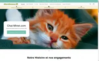 Chat-minet.com Screenshot 2024-05-03 18:14:44