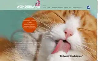 Kattenhotelwonderland.be Screenshot 2024-04-15 18:41:17