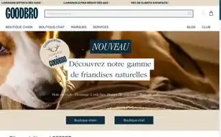 Goodbro.fr Screenshot 2024-06-17 00:36:00