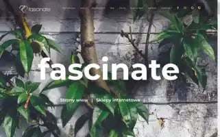 Fascinate.pl Screenshot 2024-06-15 15:53:16