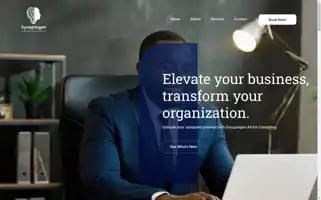Synaptogenafrica.com Screenshot 2024-05-28 15:20:37