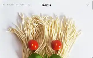 Trevisamsterdam.nl Screenshot 2024-05-05 22:29:36
