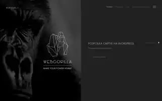 Webgorilla.com.ua Screenshot 2024-06-15 12:29:57