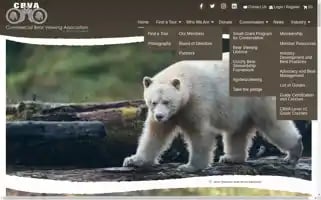 Bearviewing.ca Screenshot 2024-06-17 18:44:17