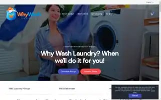 Whywashlaundry.com Screenshot 2024-05-27 01:35:15