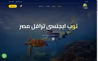 Topagencytravel.com Screenshot 2024-04-16 23:06:03