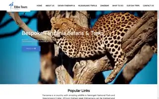 Elibetours.com Screenshot 2024-04-18 08:45:23